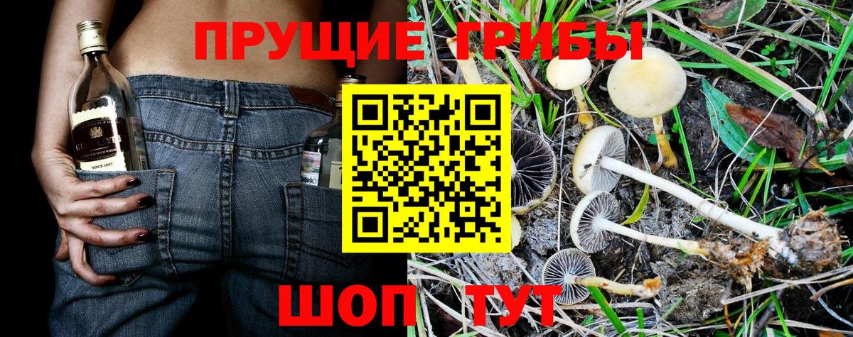 Кузнецк  Псилоцибиновые грибы ЛСД  Вход с VPN 